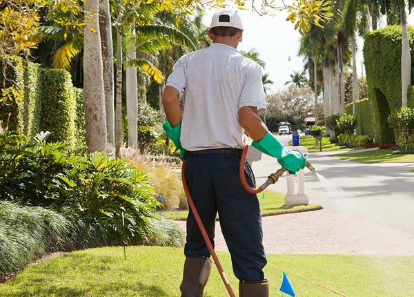 About Ernest PA Pest Control